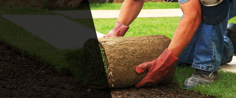 Maiden Rock Landscapers